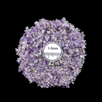 GRADELYGEMS Amethyst Bold Crushed Stone 3-5mm for Vase Fillers, Jewelry Design, Resin Art & Decor