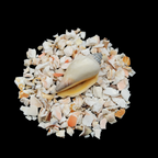GRADELYGEMS Fossil Shell Bold Crushed Stone 3-5mm for Vase Fillers, Jewelry Design, Resin Art & Decor