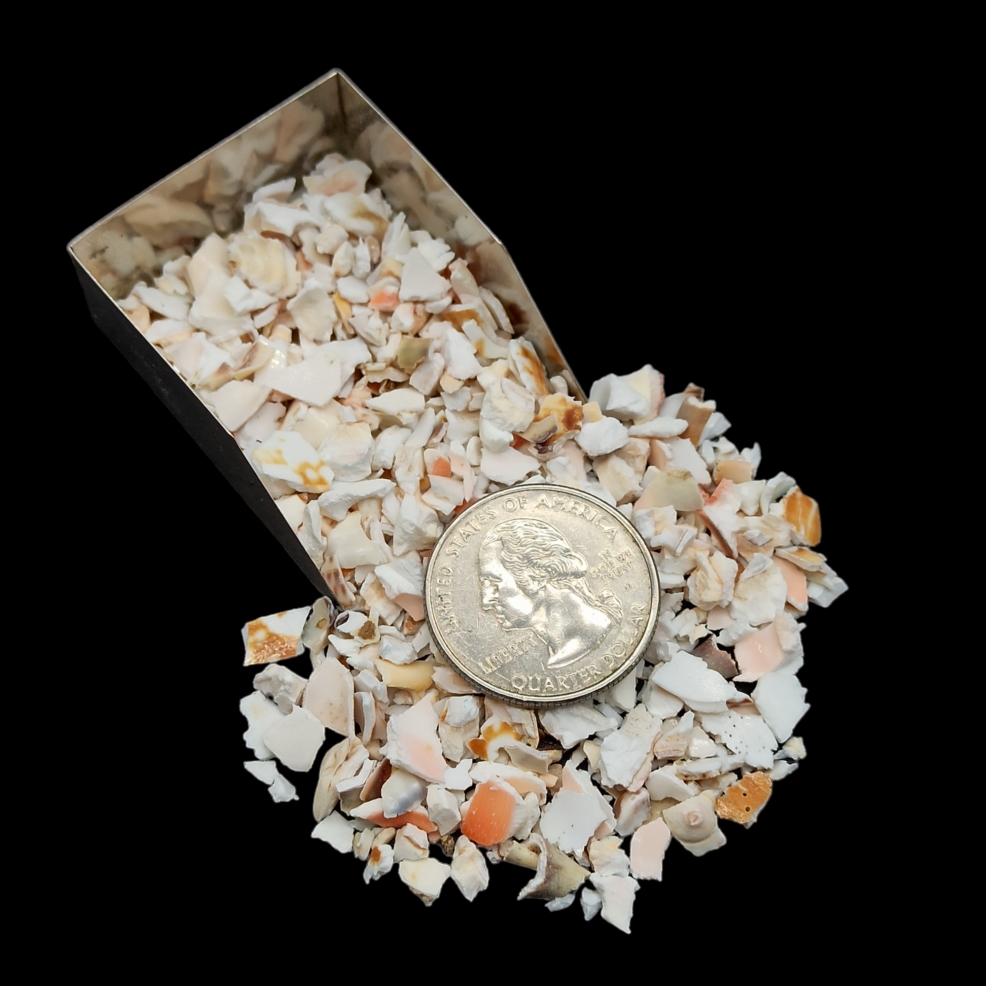 GRADELYGEMS Fossil Shell Bold Crushed Stone 3-5mm for Vase Fillers, Jewelry Design, Resin Art & Decor