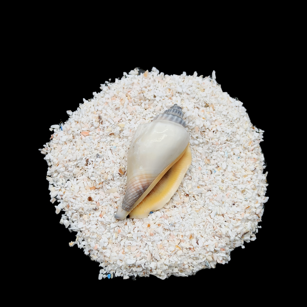 GRADELYGEMS Fossil Shell Gemstone Crushed 0.5-1mm for Ring Inlay, Jewelry Making, Resin Art & Fine Detail Work