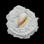 GRADELYGEMS Fossil Shell Powdered Gemstone for Ring Inlay, Resin Art, Jewelry Design & Artisan Crafting