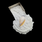 GRADELYGEMS Fossil Shell Powdered Gemstone for Ring Inlay, Resin Art, Jewelry Design & Artisan Crafting
