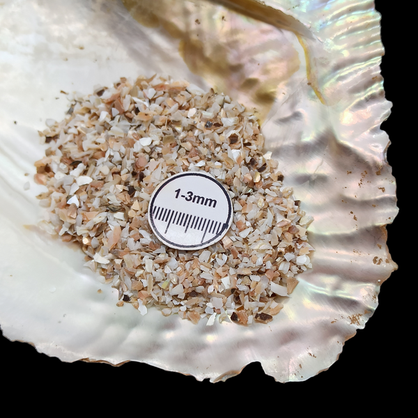 GRADELYGEMS Abalone Shell Loose Stone 1-3mm Crushed Gemstone for Resin Crafts, Decor & Handmade Projects