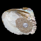 GRADELYGEMS Abalone Shell Gemstone Crushed 0.5-1mm for Ring Inlay, Jewelry Making, Resin Art & Fine Detail Work