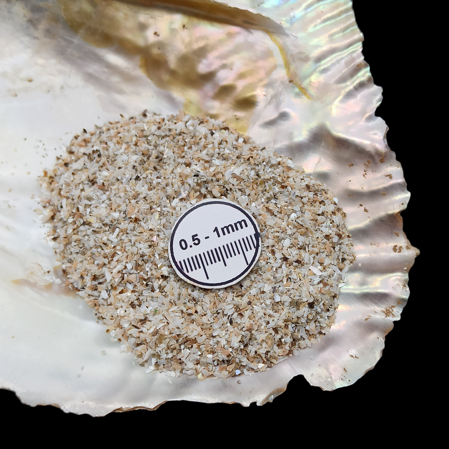 GRADELYGEMS Abalone Shell Gemstone Crushed 0.5-1mm for Ring Inlay, Jewelry Making, Resin Art & Fine Detail Work