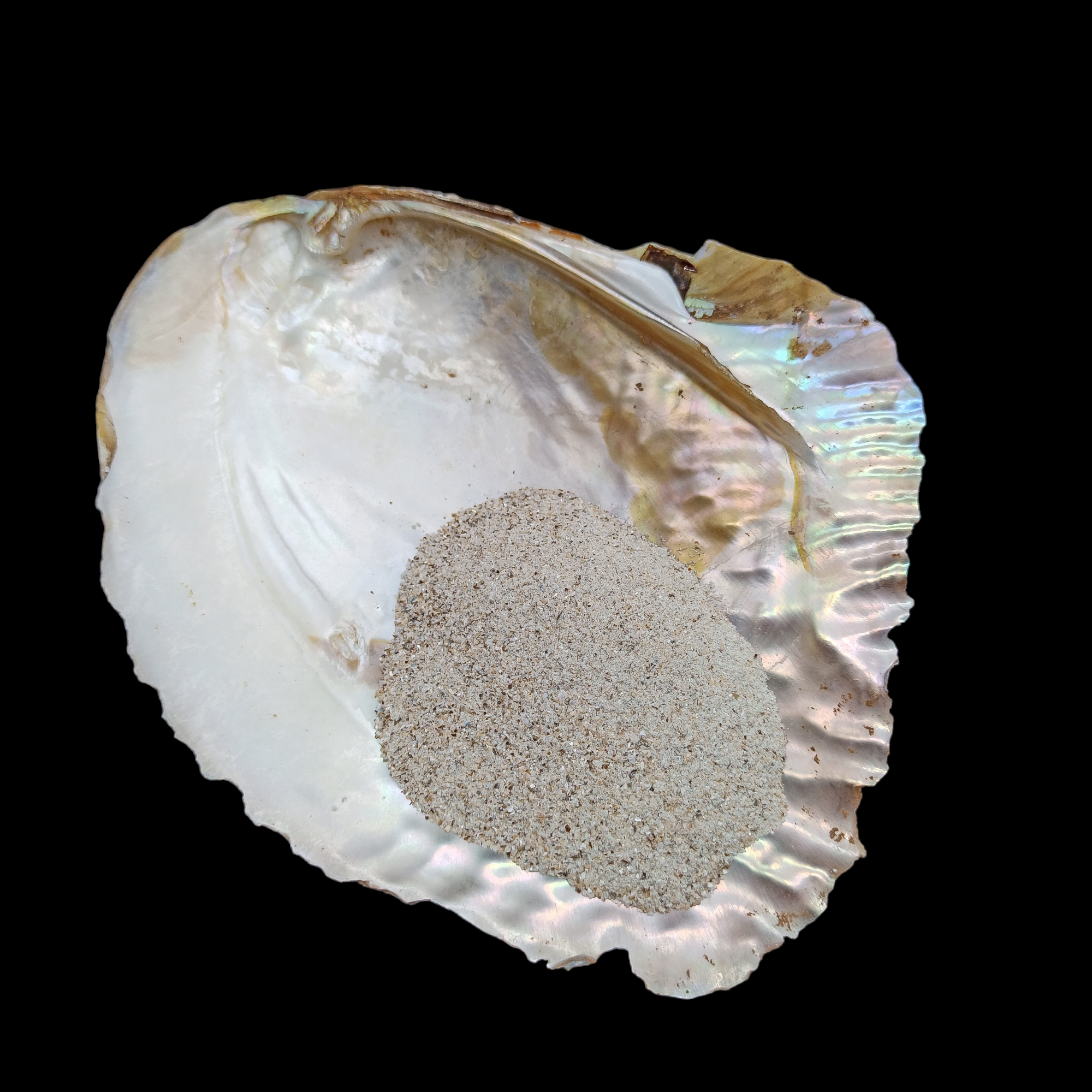 GRADELYGEMS Abalone Shell Powdered Gemstone for Ring Inlay, Resin Art, Jewelry Design & Artisan Crafting