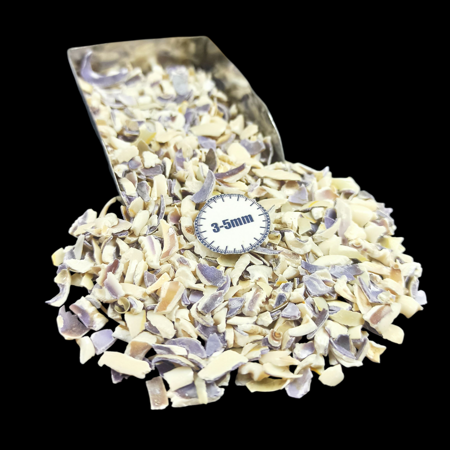 GRADELYGEMS Cowrie Shell Bold Crushed Stone 3-5mm for Vase Fillers, Jewelry Design, Resin Art & Decor