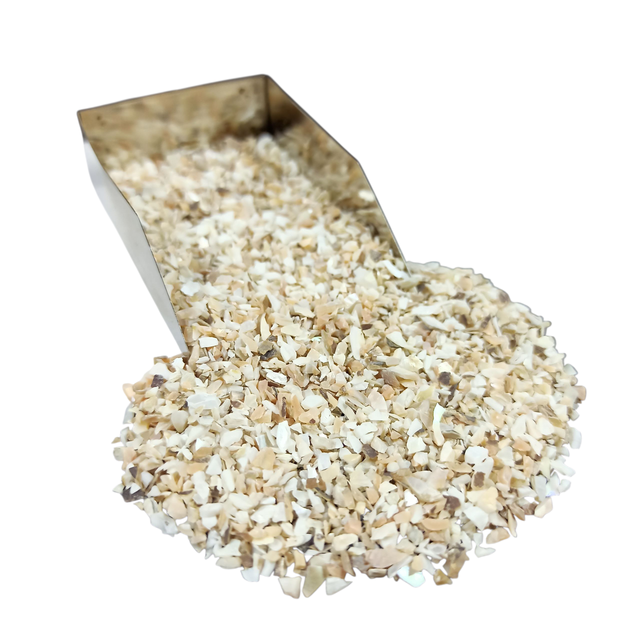 Abalone Shell Gemstone Crushed 1-3mm
